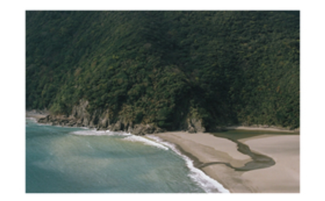 お礼のメールと、プロジェクトのご報告をお送りします