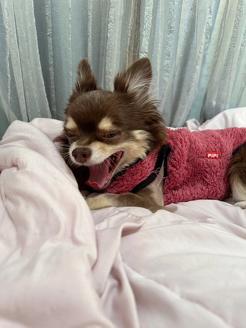 2024/1/7   クラウドファンディング残り21日となりました‼︎ 