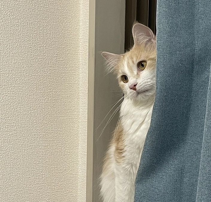 10/23ルイの様子