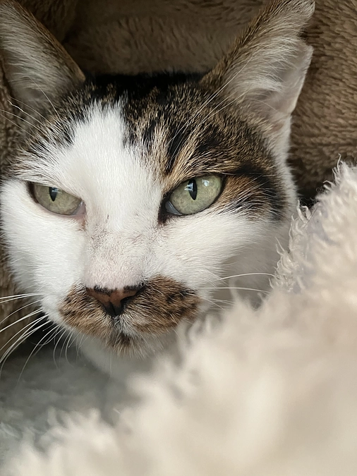 インスタと代理支援のご案内