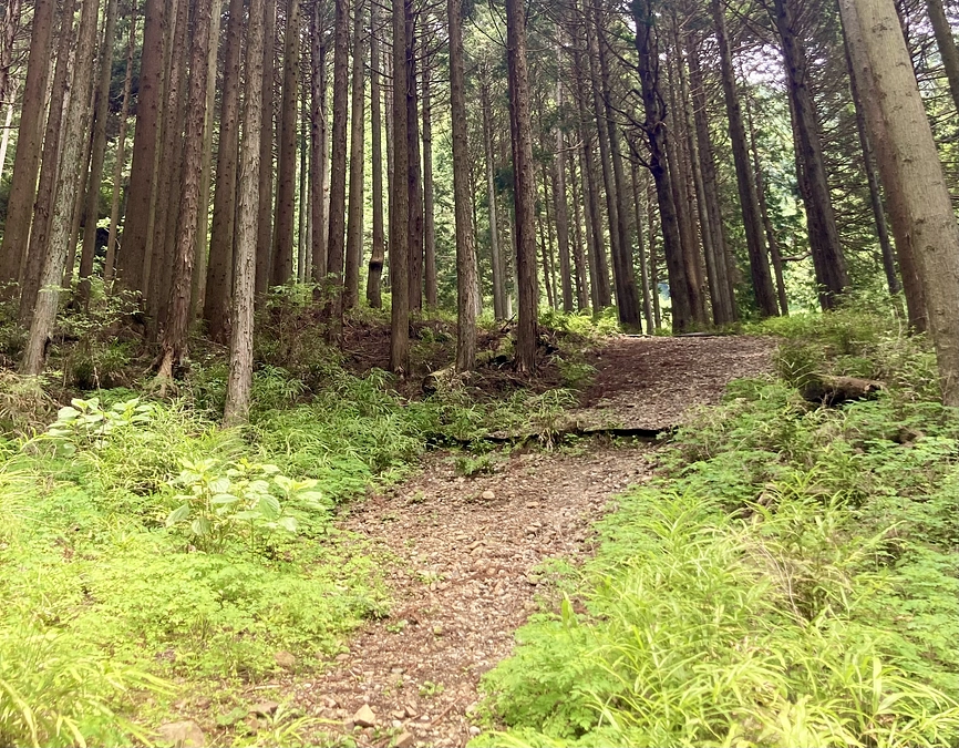 活動詳細レポート①準備編