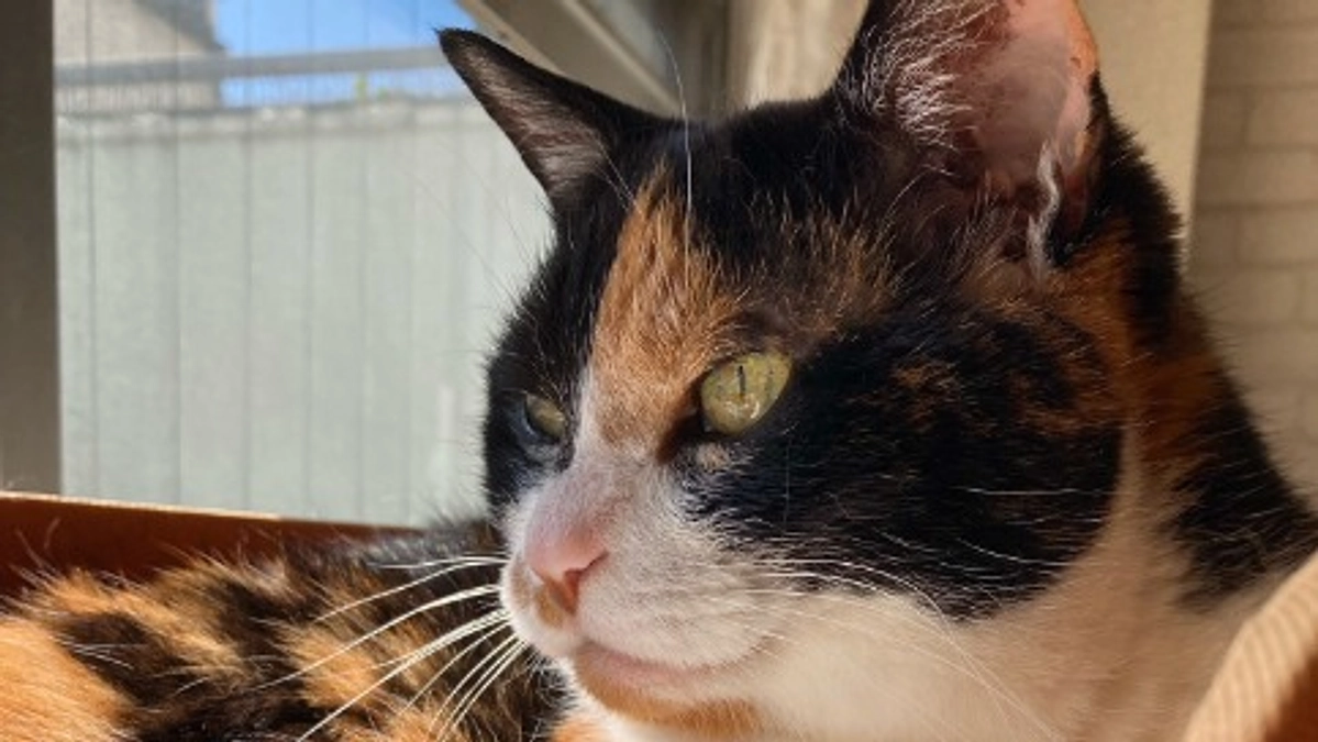 ■活動報告_2：今日も通院頑張りました。