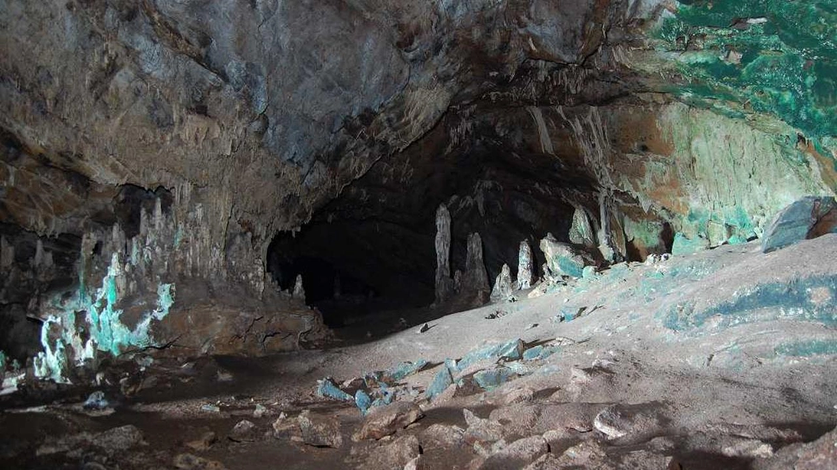 報告会のお知らせです　　11月16日午後　大分市にあるイイチコ文化センターで開催します