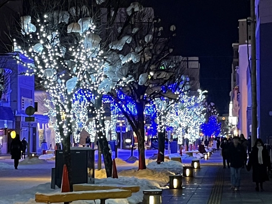 片道5時間かけて、救出してきました