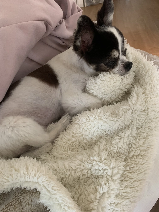 咳、少なめでした😭✨✨✨