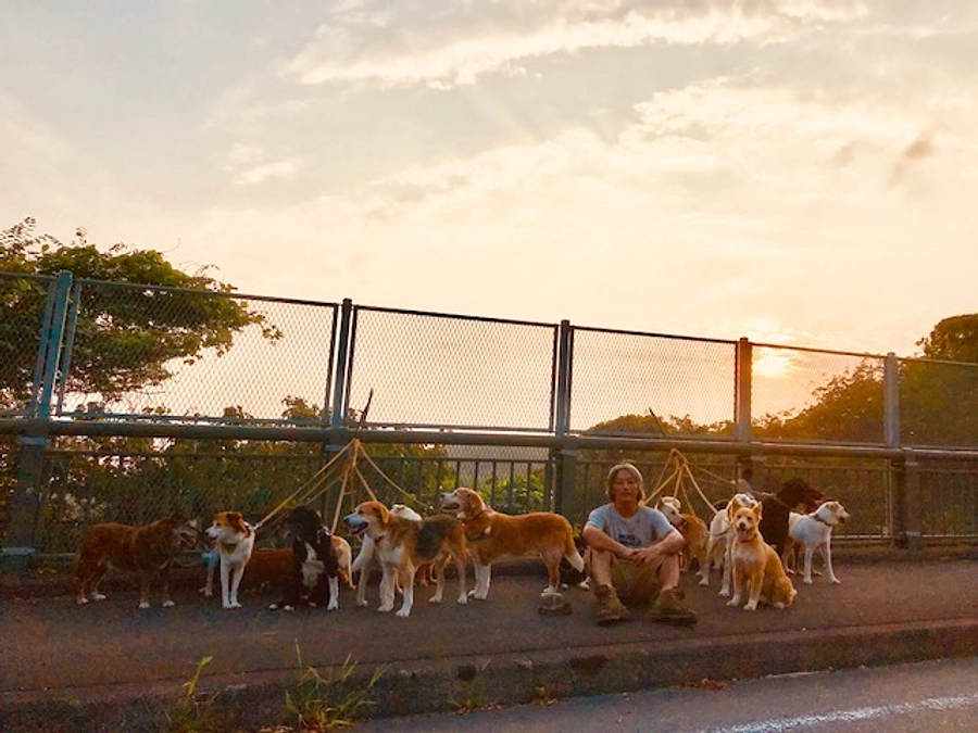 NPO法人わんにゃんレスキューOHANAさんのクラファン応援しています！！