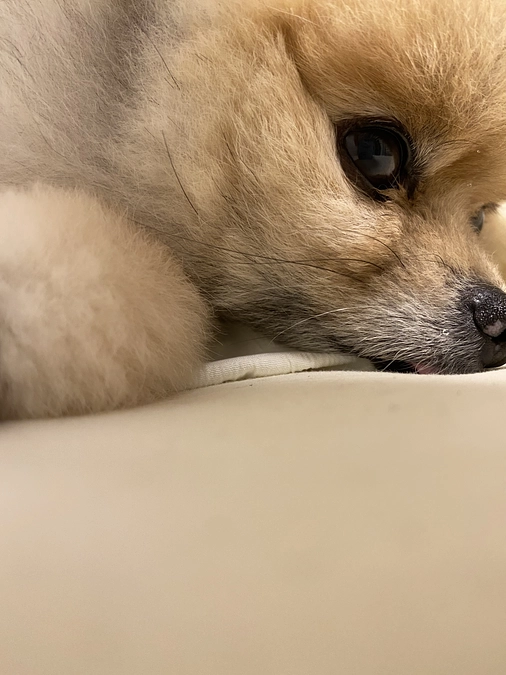 まだまだ伝えたいです