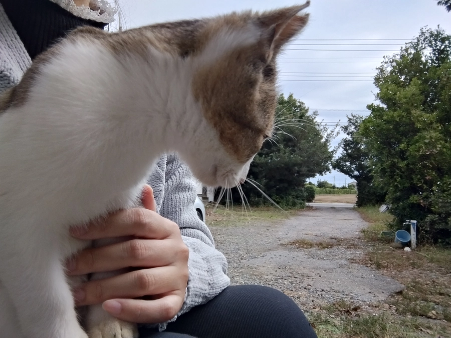 残り5時間ほど。