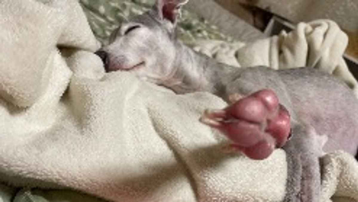 残り17日🗓️達成率7%⏰