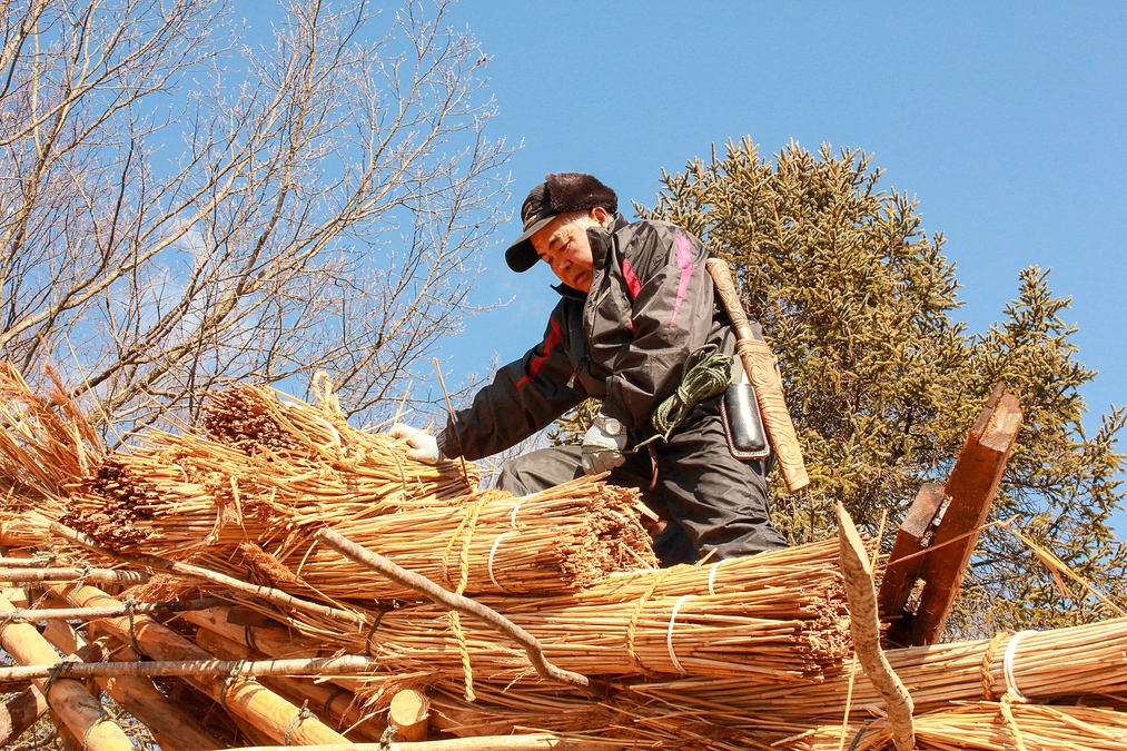 二風谷の職人とともに進める「北海道 アイヌの家」修復