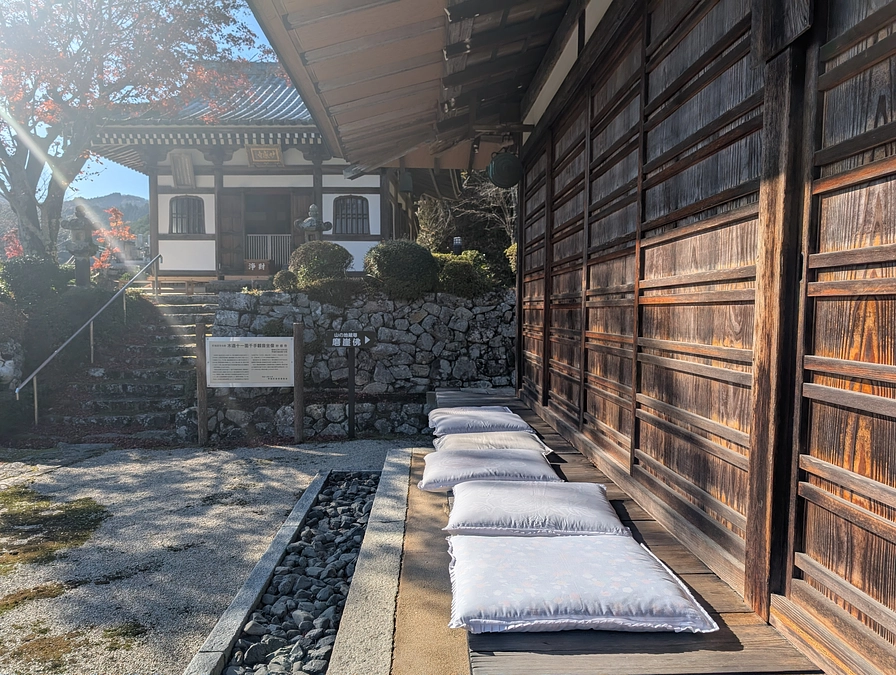 残り8日、どうかご支援をお願いします！