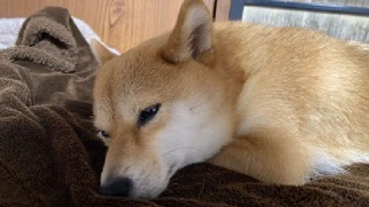 雨の日はぼーっと。