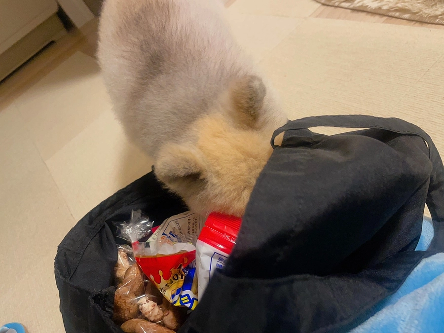 買い物チェック