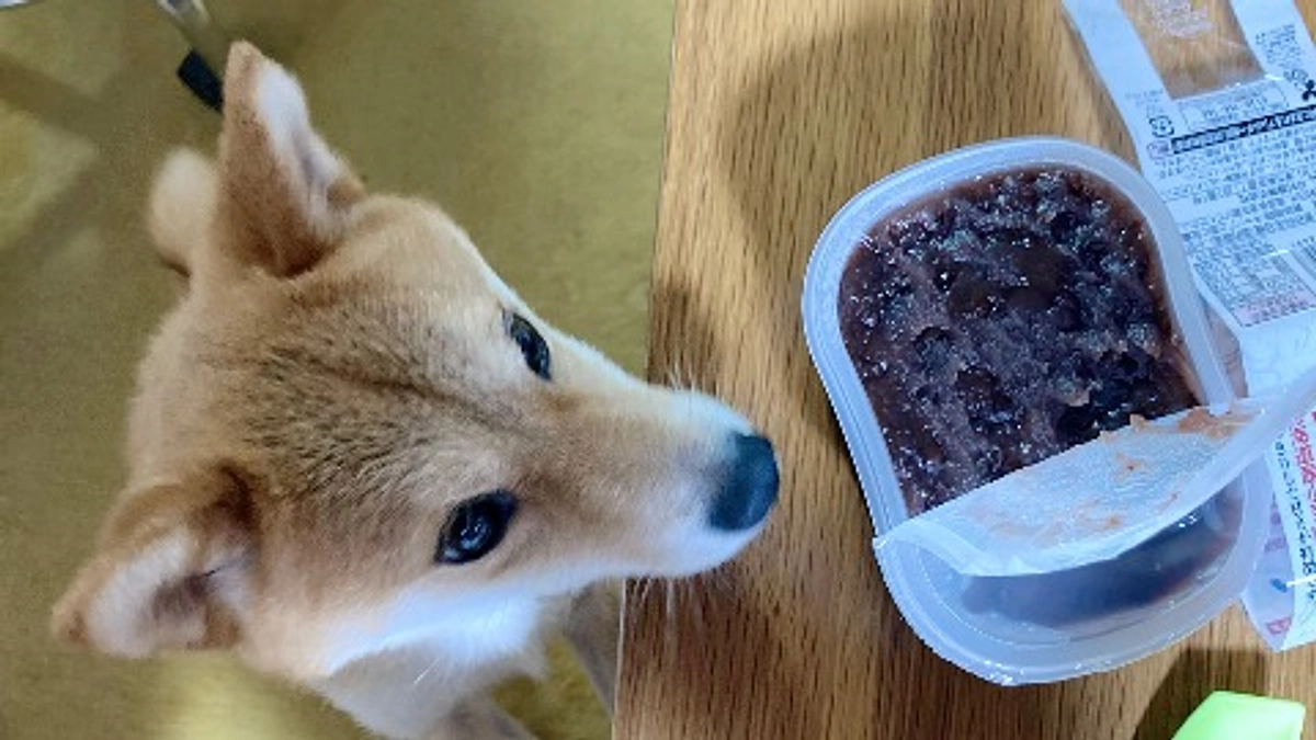 そらが好きなもの、７つ