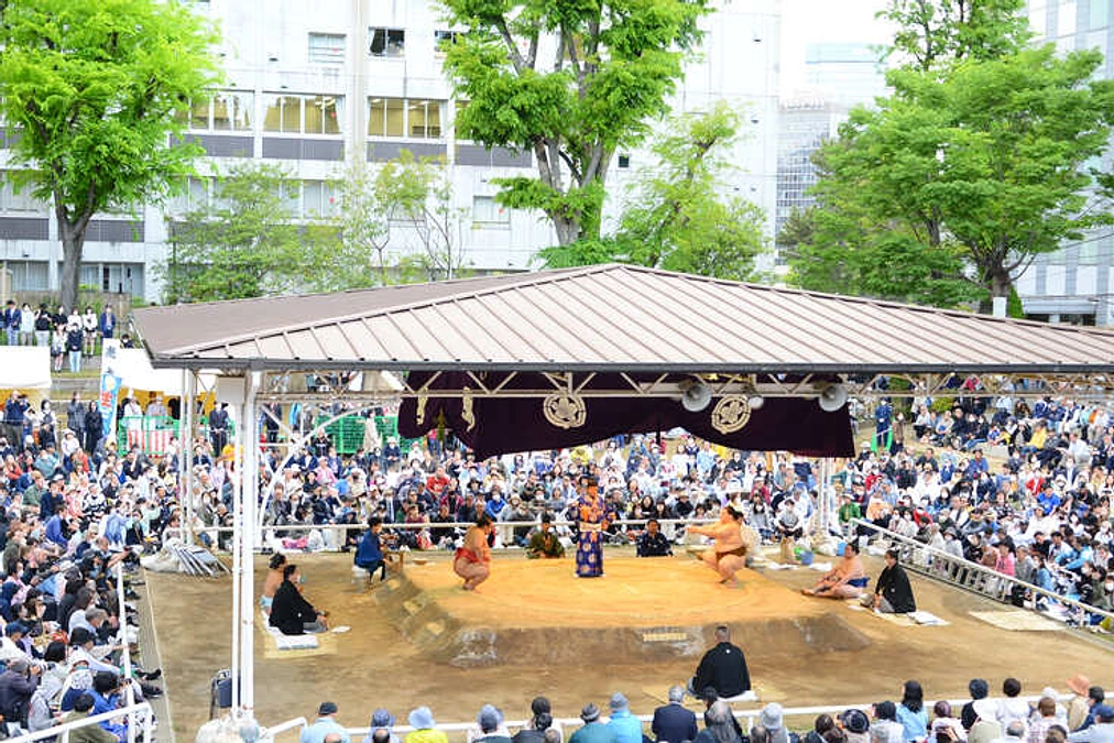 【日時確定：令和6年4月15日】奉納相撲にご招待コースの詳細について