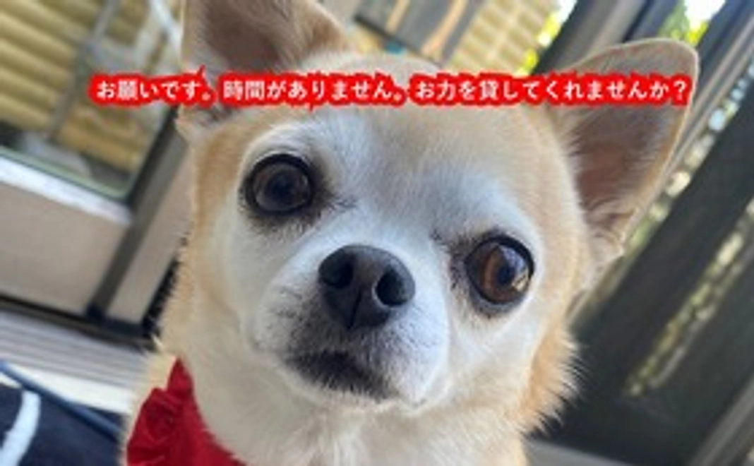 亜呂麻への支援②　