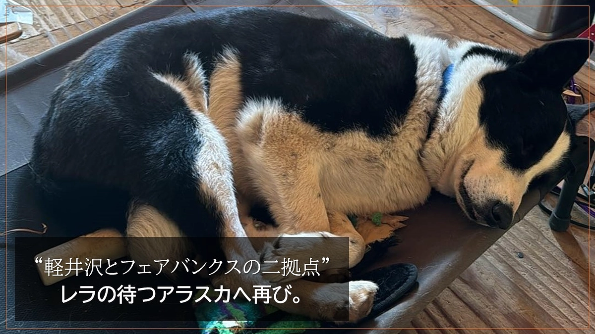 “軽井沢とフェアバンクスの二拠点” レラのもとへ行ってきます！