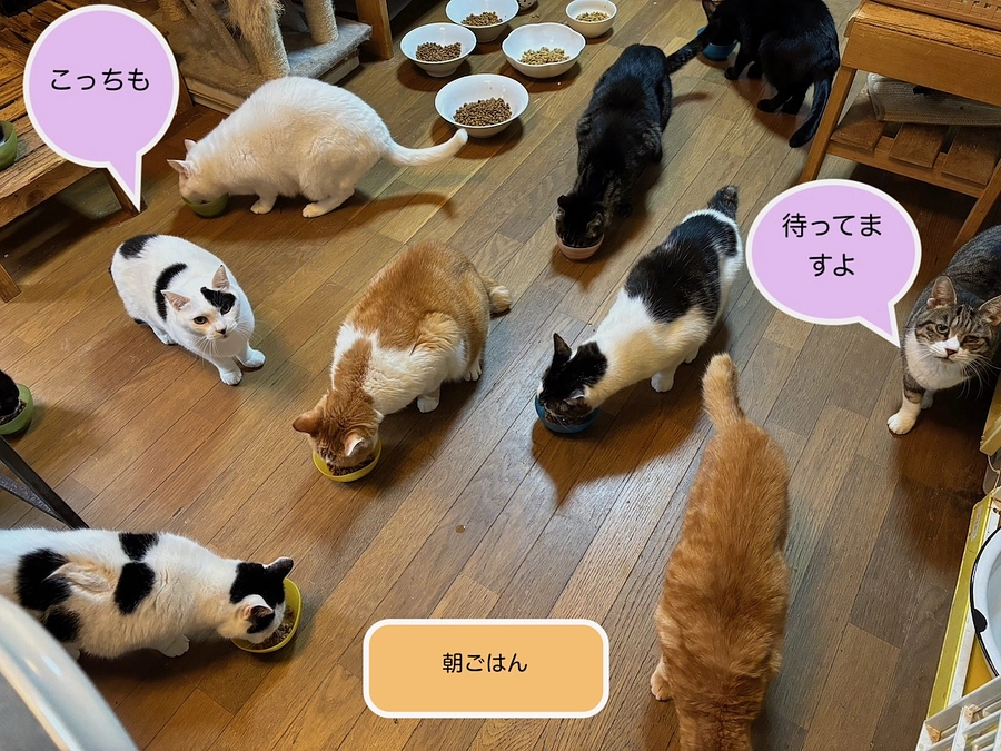 お礼とお知らせ/１１月３０日