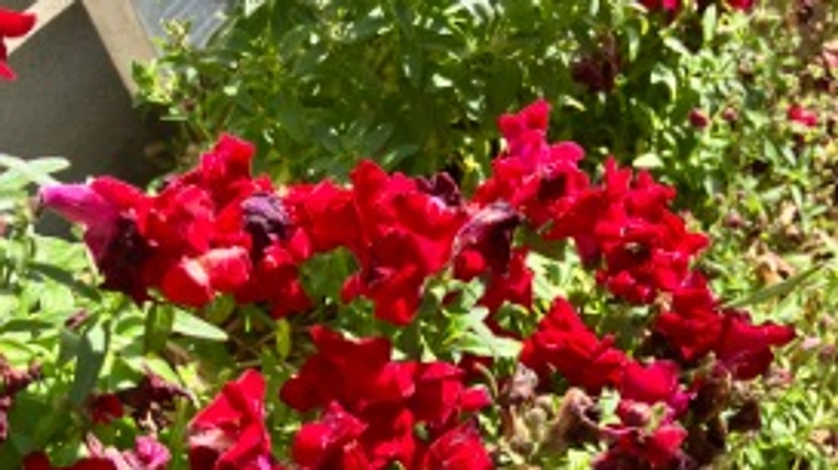 【活動報告⑩】リターンのお届け状況について その2