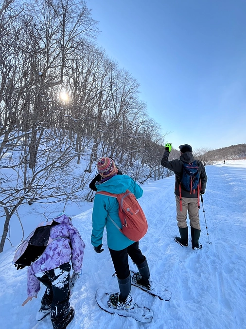 北海道メープルの収穫が始まりました！
