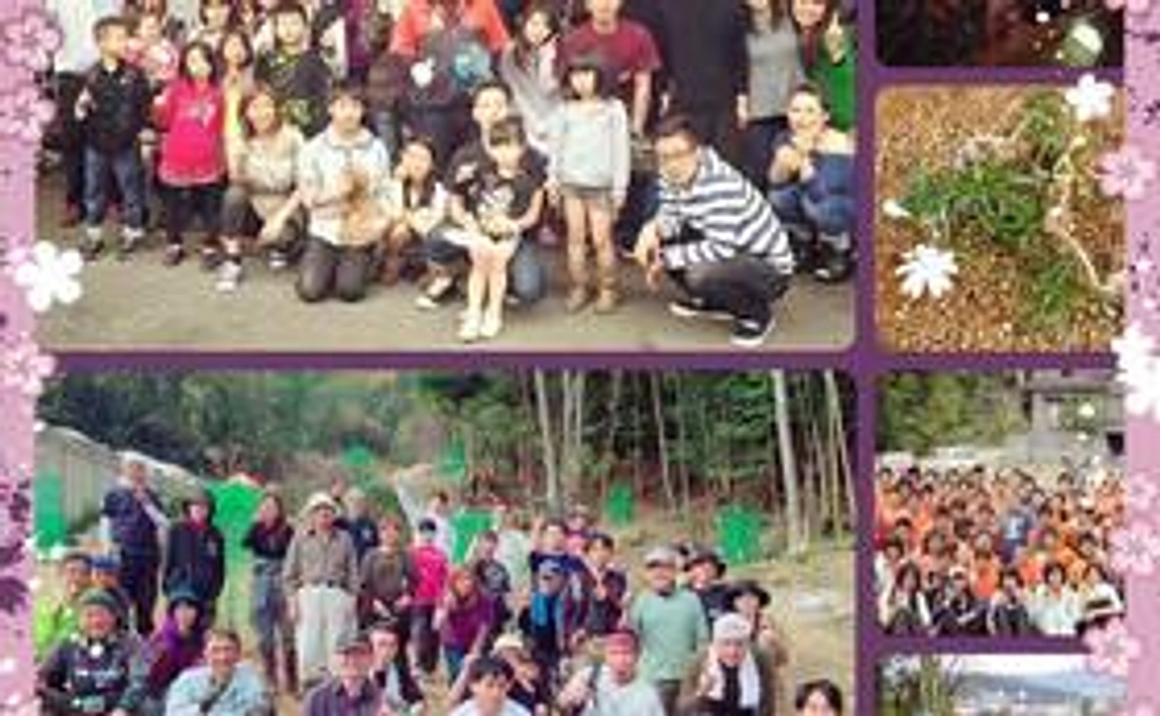 支援のすべてが協力金となります。