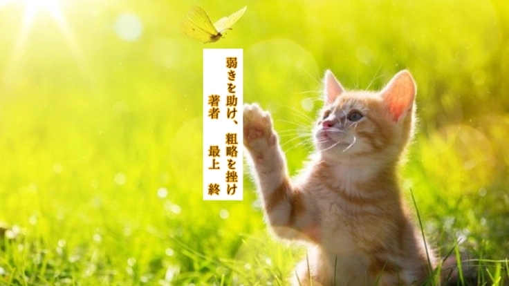 本の出版を通して多くの方にTNRの重要性を伝えたい