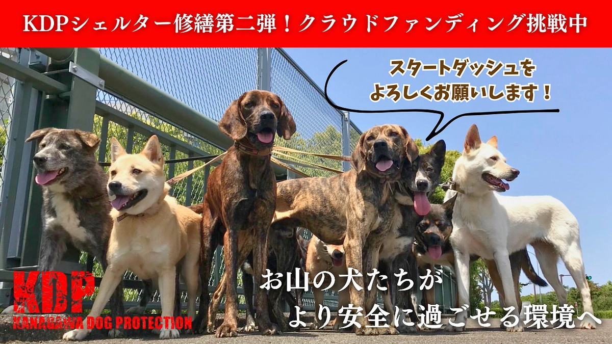 プロジェクト公開のご挨拶