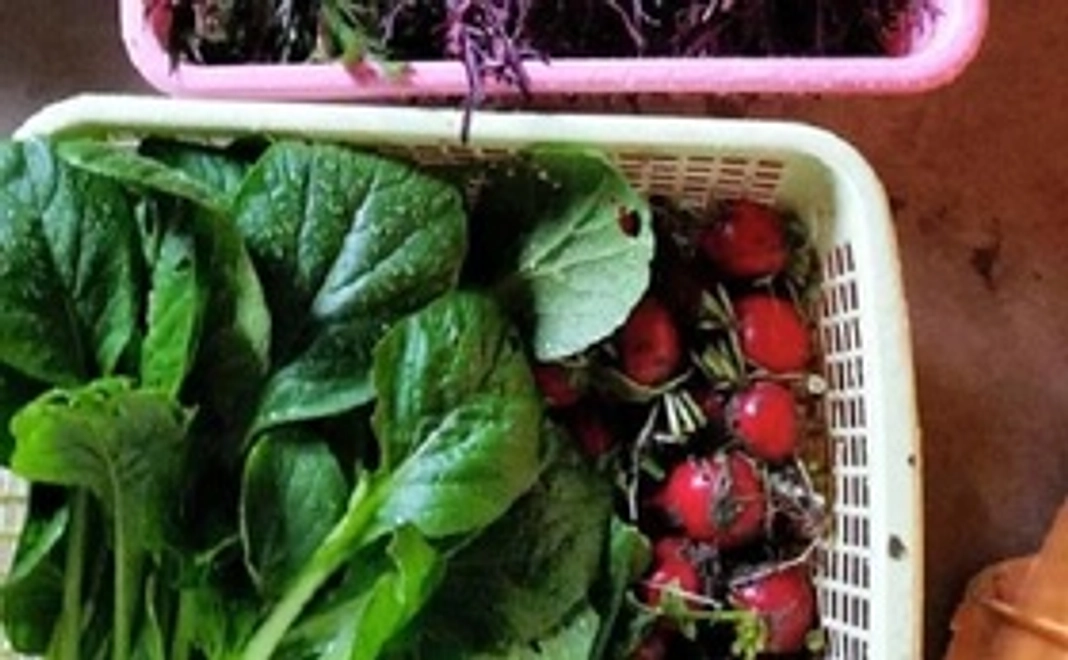 三瀬の自然初級コース