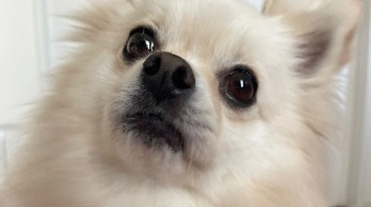 いつも応援してくださる皆様へご報告です🍀