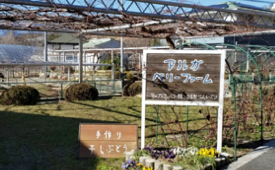 サンクスレター、りんご園開園のご報告