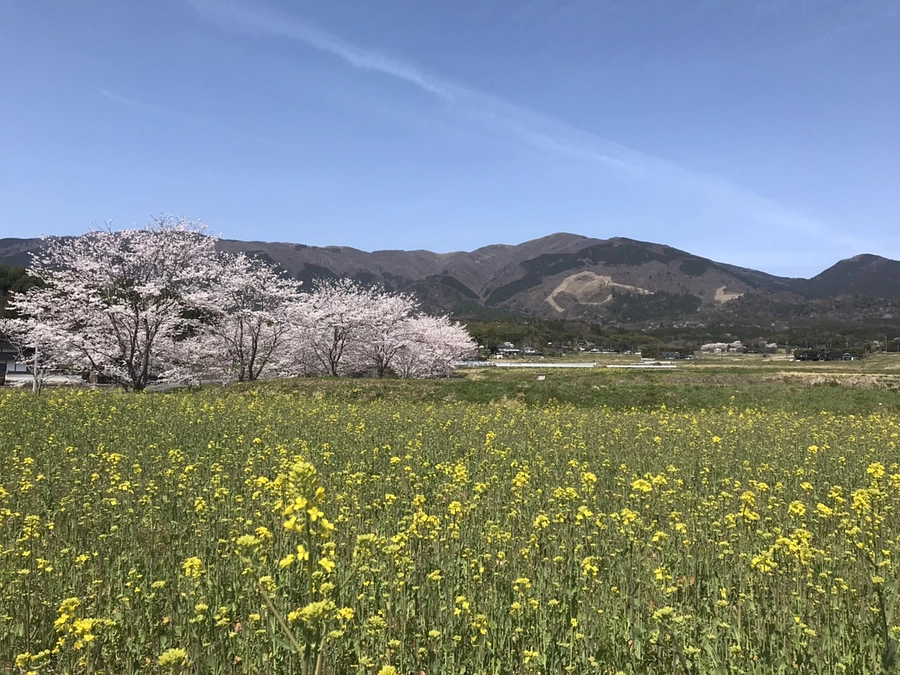 奈義町ってどんな場所？