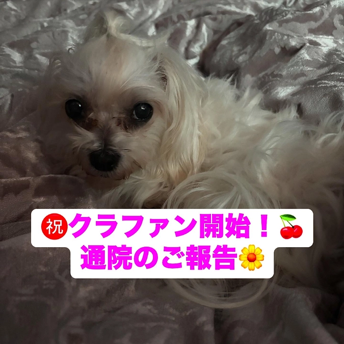 ㊗️クラファン初日です！