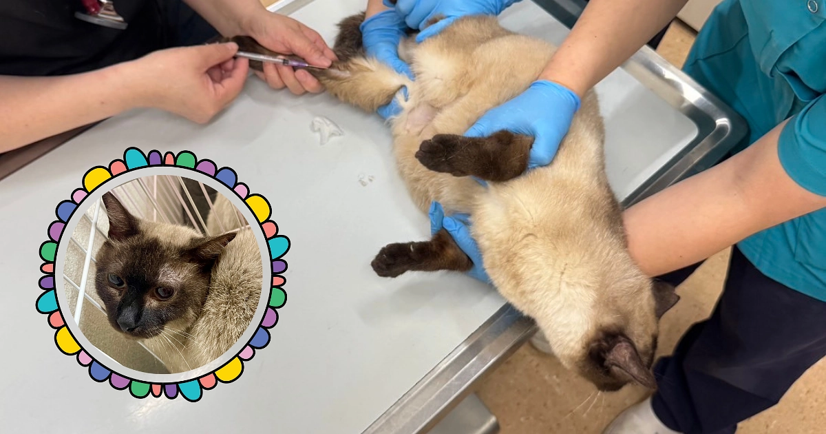 本当に医療費が切迫しています！