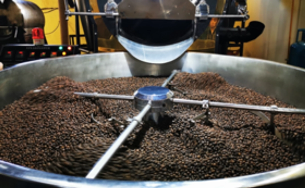 【早割】コピルアク「Game Changer」約20杯分 100g