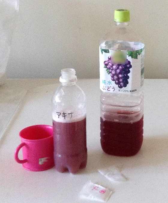 アキナの投薬、四苦八苦の話①