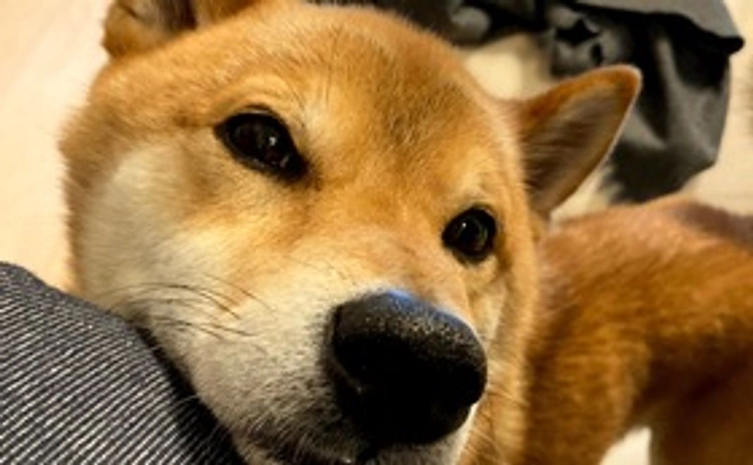 1000円支援コース