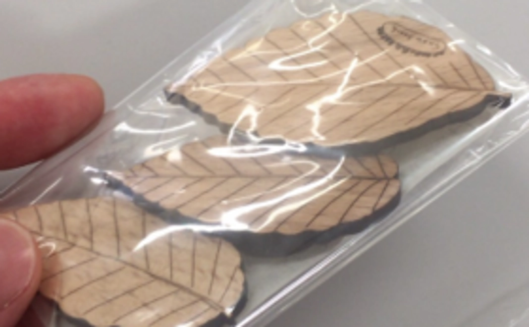 美人林のブナの間伐材でつくったマグネット