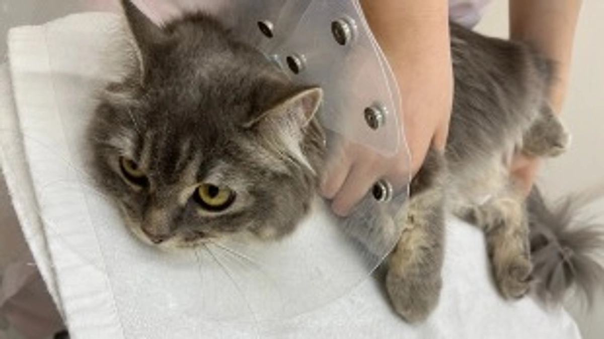 10/6  闘病40日目　病院受診日