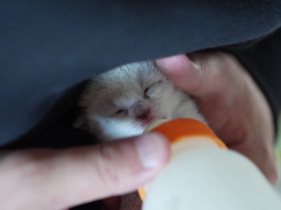 第二目標「感染対策室」