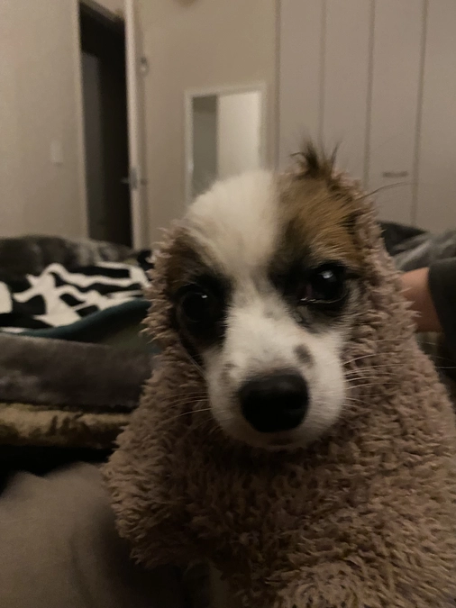 🆘残り55時間‼️時間がありません🆘