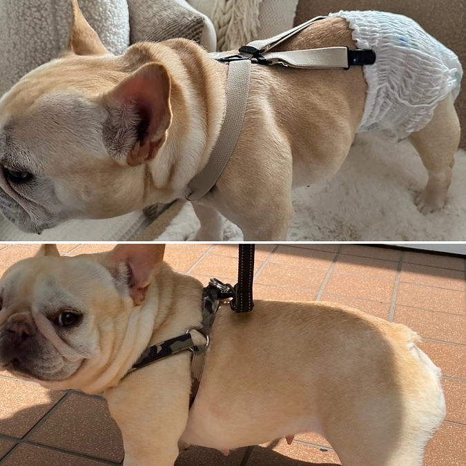 ご支援のお礼と術後の経過について