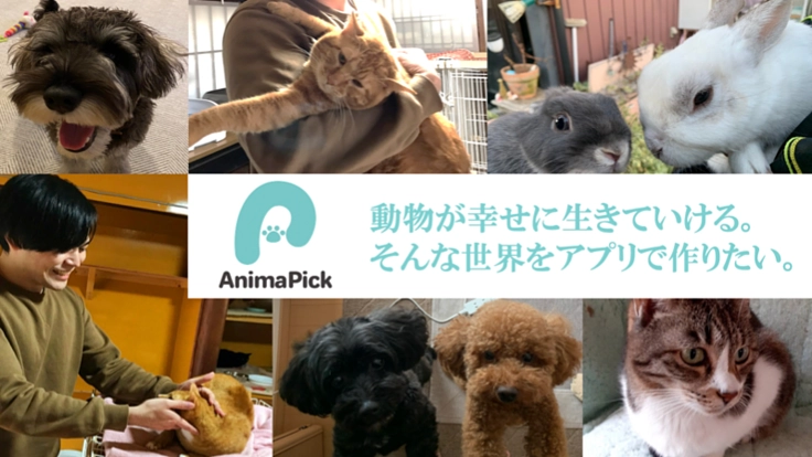 どんな人でも動物保護活動へ参加できる世界を、アプリで作りたい。