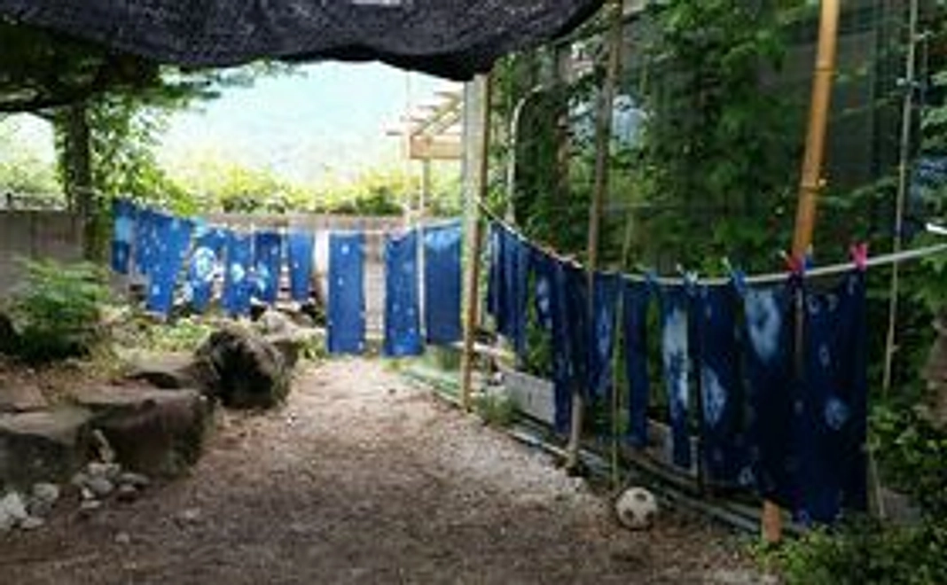 絵ハガキ＆藍染め手拭いセット