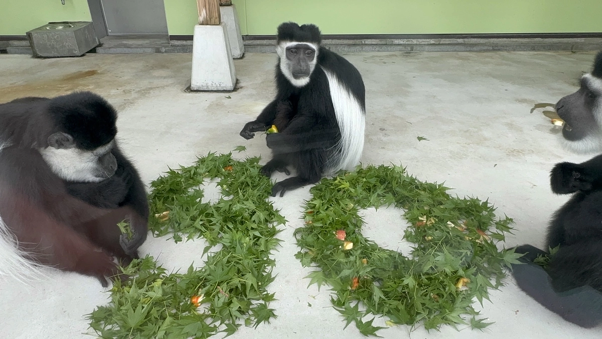 【クラファン活動報告 ㊱】90%達成！