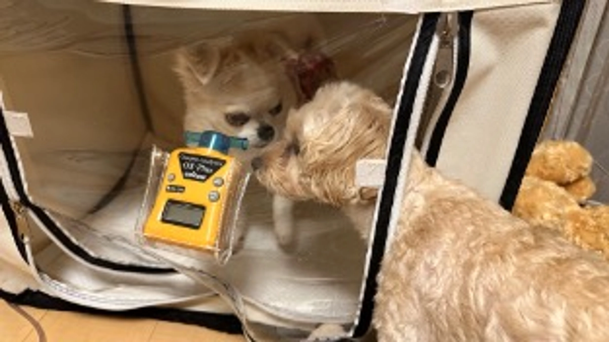 酸素室はお気に入りのお部屋