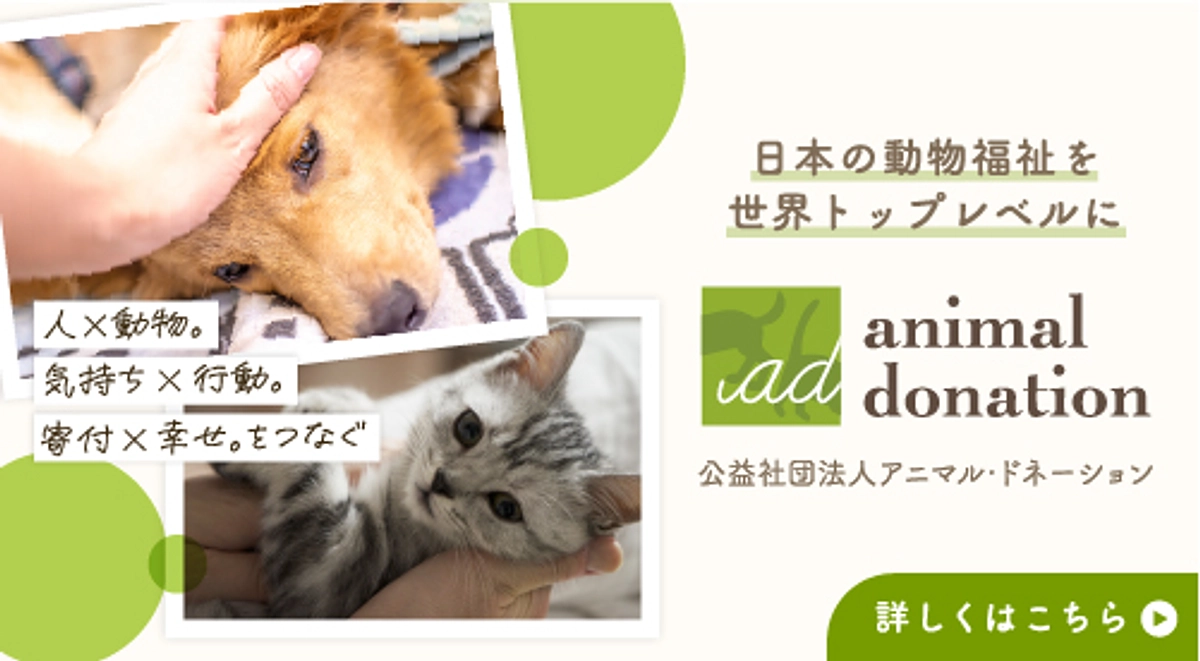 【ご挨拶】あたたかい皆様のご寄付に心からの感謝をこめて。アニドネ2025年について