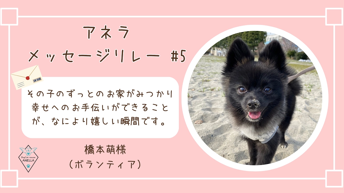 ボランティアメッセージリレー #05
