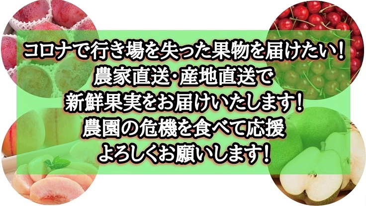 果樹王国山形から農家直送！コロナで行き場を失った果物を届けたい！