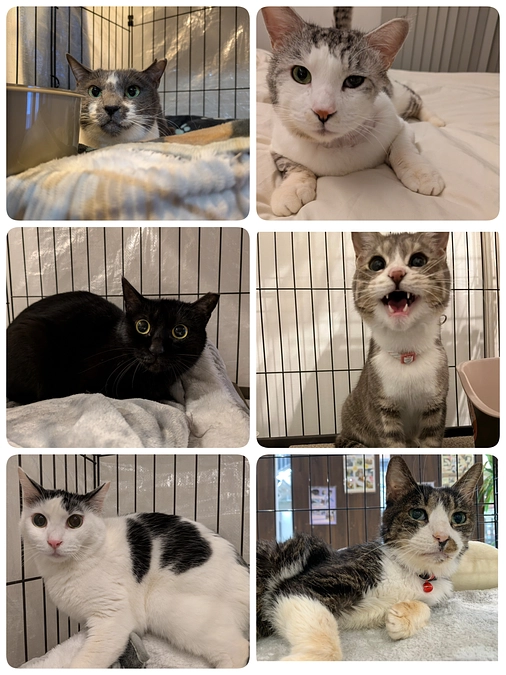 はじめましてのご挨拶と医療について