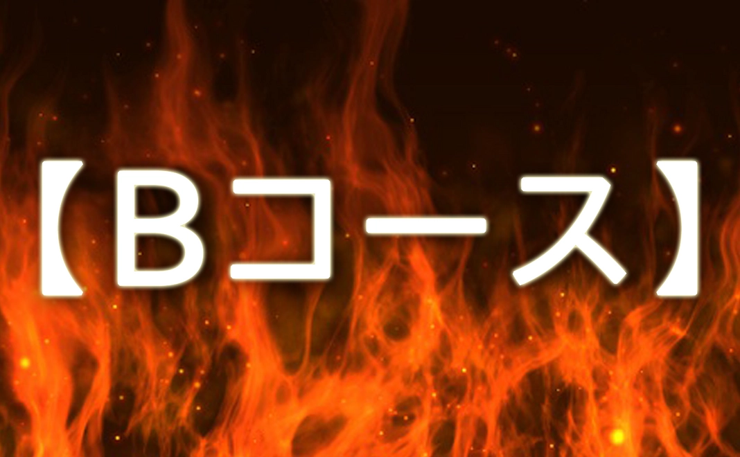 個人スポンサー【Bコース】